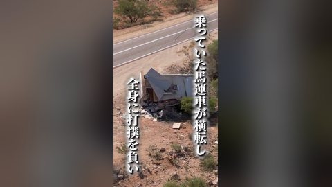 この馬の名を知らぬ日本の競馬ファンは恐らくいないであろう。不屈の闘志で数々の偉業