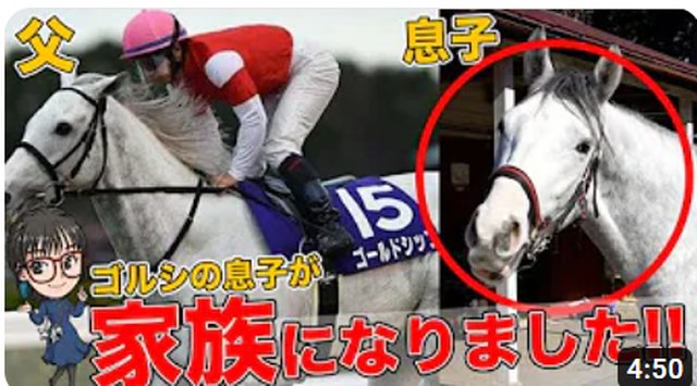 マーティンの馬主ライフの動画サムネイル
